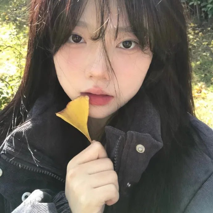 布鲁克林来的人